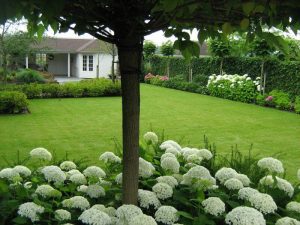 Professioneel tuinonderhoud door vakkundige groenspecialisten van Van der Wel Hoveniers in Ridderkerk