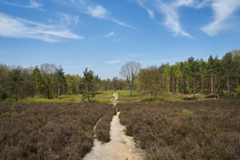 Home Hotel Vinkeveen aan de Vinkeveense Plassen met wateruitzicht en rustige natuuromgeving tussen Utrecht en Amsterdam
